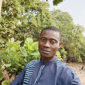 Profil de Dlis